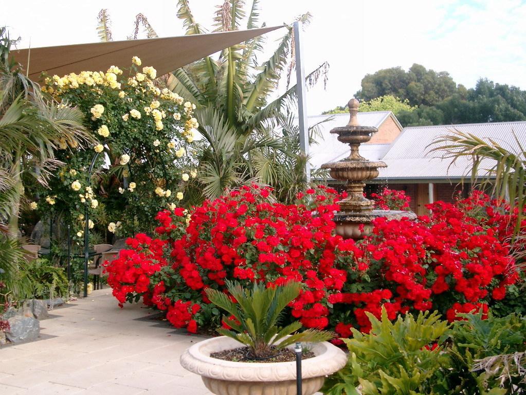 Mclaren Vale Motel & Apartments Exterior foto